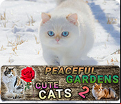 Peaceful Gardens 2: Cute Cats