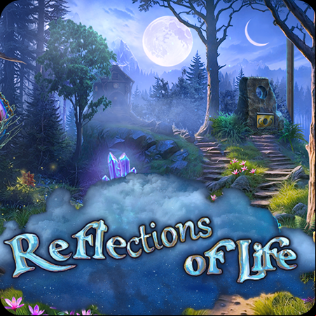 Reflections of Life