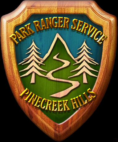 Mystery Case Files Badge